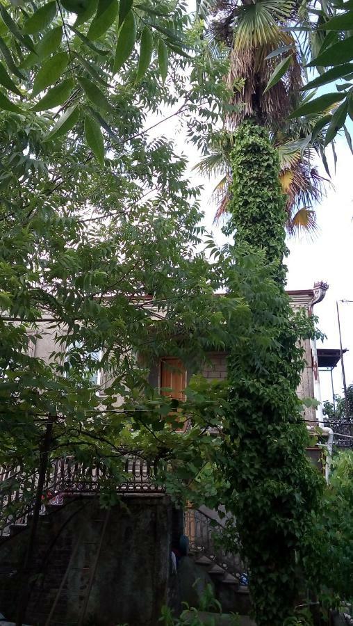 Elco Hotel Zugdidi ภายนอก รูปภาพ