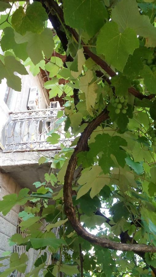 Elco Hotel Zugdidi ภายนอก รูปภาพ